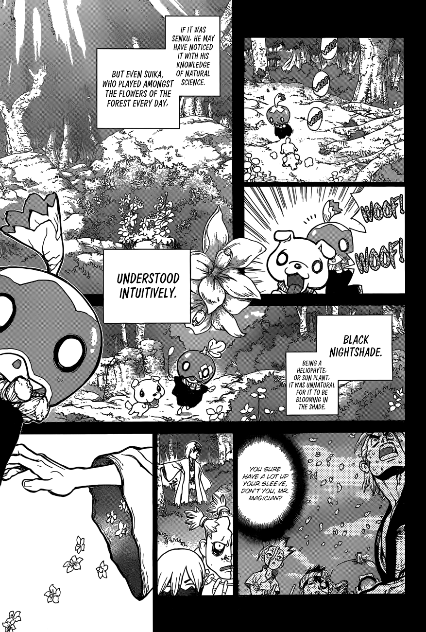 Dr. Stone Chapter 48 16